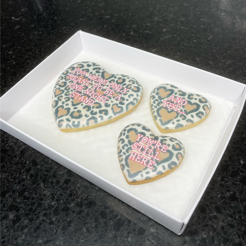 Funny You Were Only Meant To Be A One Night Stand Biscuits